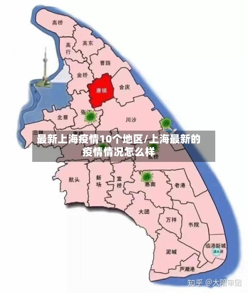 最新上海疫情10个地区/上海最新的疫情情况怎么样-第1张图片