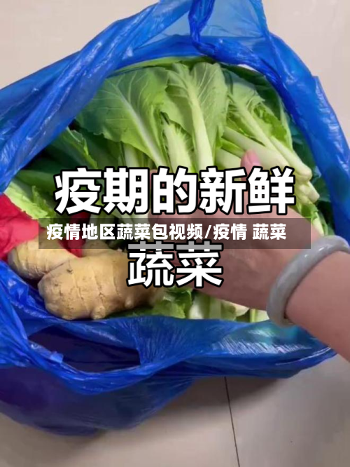 疫情地区蔬菜包视频/疫情 蔬菜-第2张图片