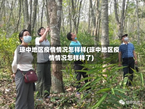 琼中地区疫情情况怎样样(琼中地区疫情情况怎样样了)-第2张图片