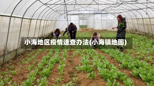 小海地区疫情速查办法(小海镇地图)-第2张图片