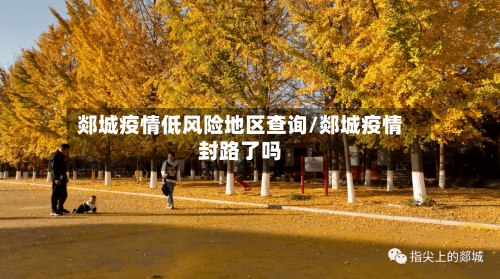 郯城疫情低风险地区查询/郯城疫情封路了吗-第1张图片