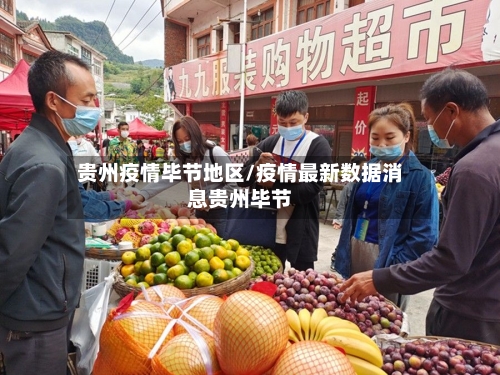 贵州疫情毕节地区/疫情最新数据消息贵州毕节-第2张图片
