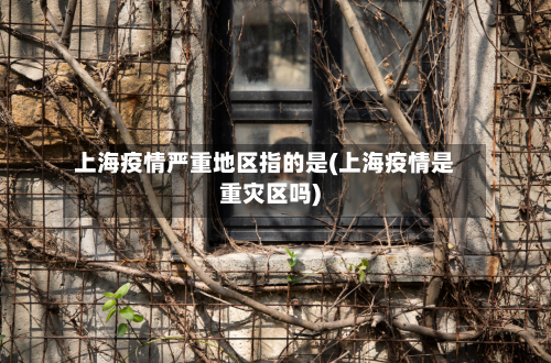 上海疫情严重地区指的是(上海疫情是重灾区吗)-第1张图片