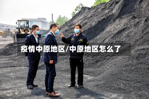 疫情中原地区/中原地区怎么了-第2张图片