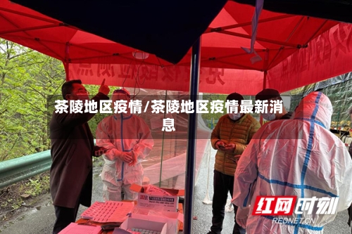 茶陵地区疫情/茶陵地区疫情最新消息-第1张图片