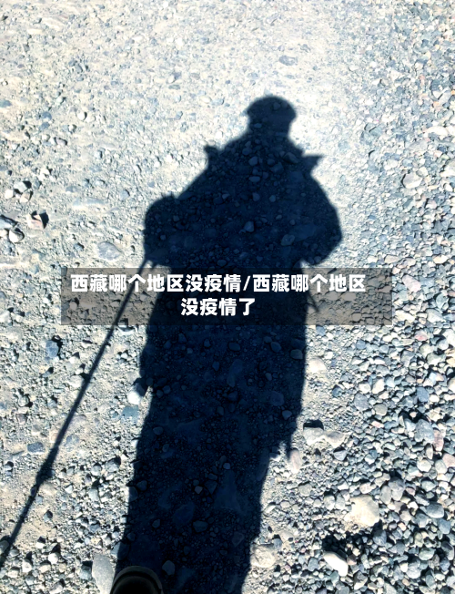 西藏哪个地区没疫情/西藏哪个地区没疫情了-第1张图片