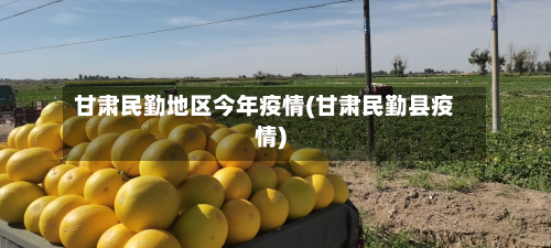 甘肃民勤地区今年疫情(甘肃民勤县疫情)-第2张图片