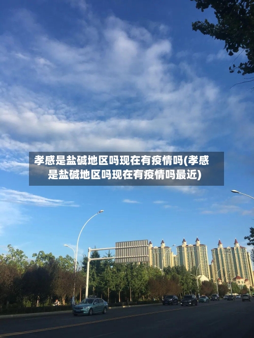 孝感是盐碱地区吗现在有疫情吗(孝感是盐碱地区吗现在有疫情吗最近)-第2张图片