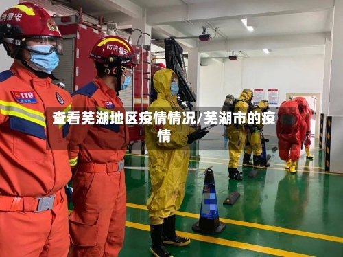 查看芜湖地区疫情情况/芜湖市的疫情-第2张图片
