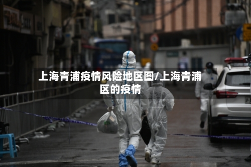 上海青浦疫情风险地区图/上海青浦区的疫情-第2张图片