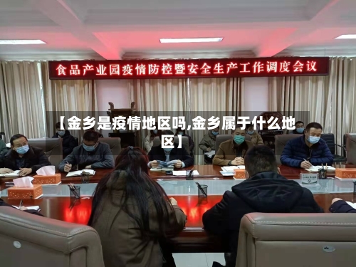 【金乡是疫情地区吗,金乡属于什么地区】-第3张图片