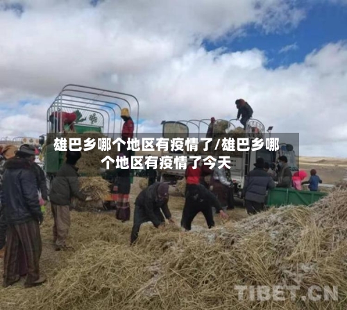 雄巴乡哪个地区有疫情了/雄巴乡哪个地区有疫情了今天-第2张图片