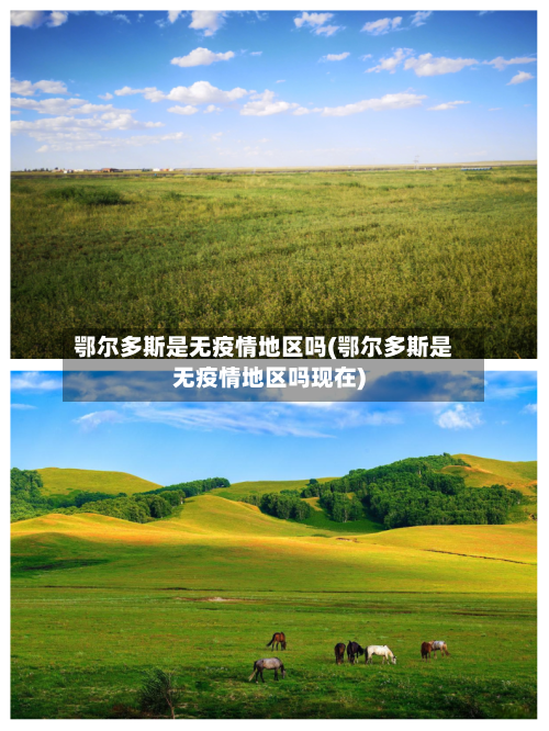 鄂尔多斯是无疫情地区吗(鄂尔多斯是无疫情地区吗现在)-第2张图片
