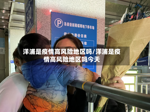 洋浦是疫情高风险地区吗/洋浦是疫情高风险地区吗今天-第3张图片