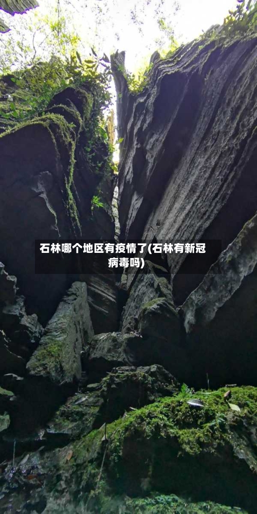 石林哪个地区有疫情了(石林有新冠病毒吗)-第1张图片