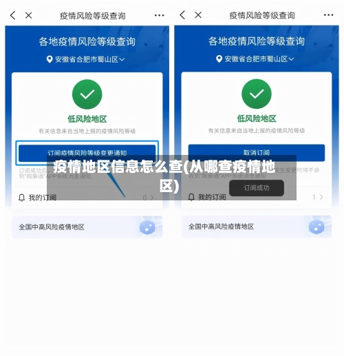 疫情地区信息怎么查(从哪查疫情地区)-第2张图片