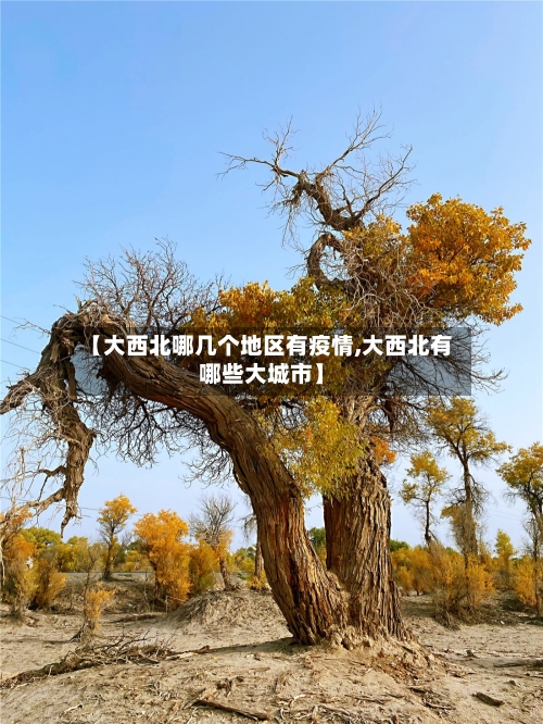 【大西北哪几个地区有疫情,大西北有哪些大城市】-第1张图片