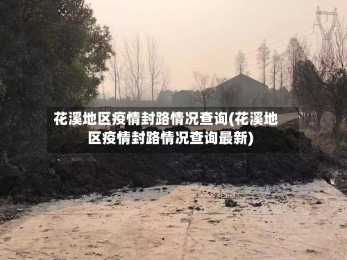 花溪地区疫情封路情况查询(花溪地区疫情封路情况查询最新)-第1张图片