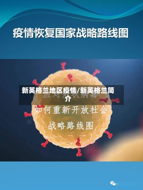 新英格兰地区疫情/新英格兰简介-第1张图片