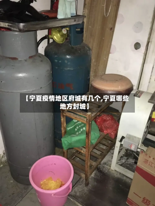 【宁夏疫情地区府城有几个,宁夏哪些地方封城】-第1张图片