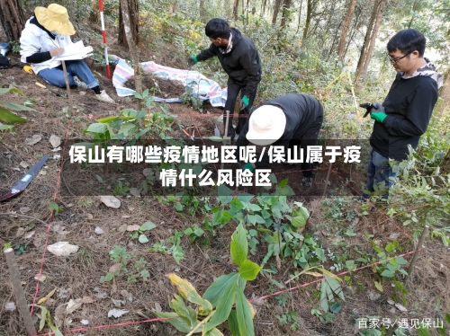 保山有哪些疫情地区呢/保山属于疫情什么风险区-第1张图片