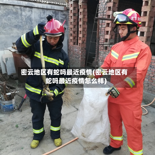 密云地区有蛇吗最近疫情(密云地区有蛇吗最近疫情怎么样)-第2张图片