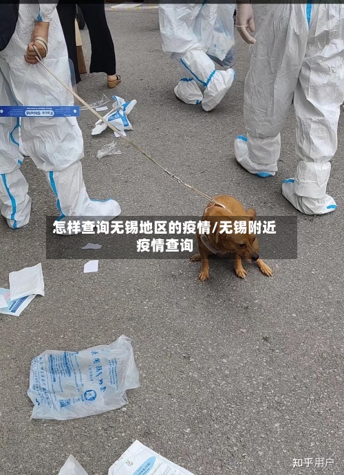 怎样查询无锡地区的疫情/无锡附近疫情查询-第1张图片