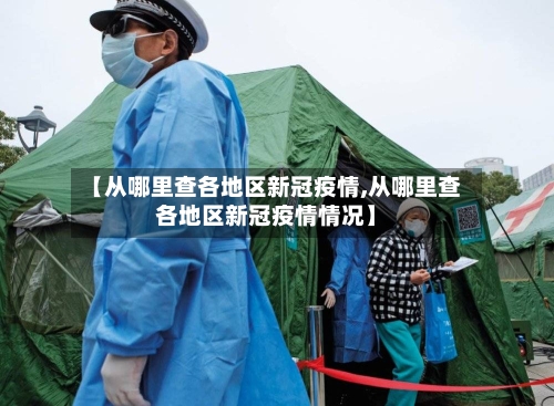 【从哪里查各地区新冠疫情,从哪里查各地区新冠疫情情况】-第3张图片