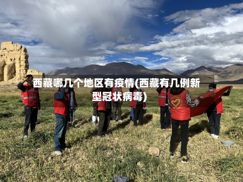 西藏哪几个地区有疫情(西藏有几例新型冠状病毒)-第1张图片