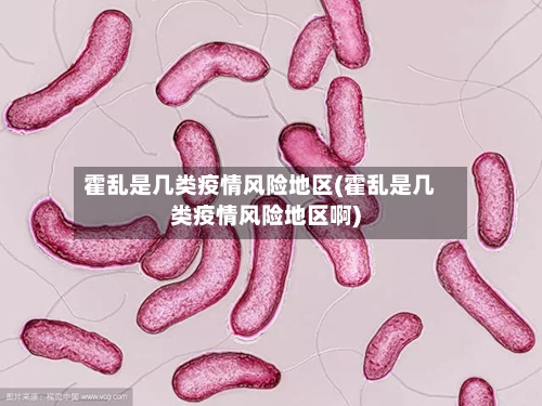 霍乱是几类疫情风险地区(霍乱是几类疫情风险地区啊)-第1张图片