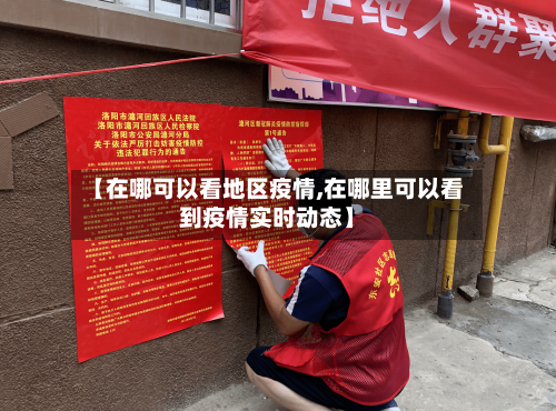 【在哪可以看地区疫情,在哪里可以看到疫情实时动态】-第2张图片