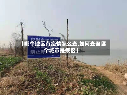 【哪个地区有疫情怎么查,如何查询哪个城市是疫区】-第3张图片