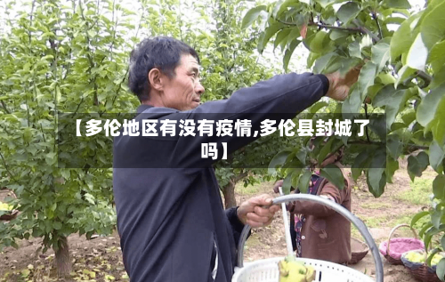 【多伦地区有没有疫情,多伦县封城了吗】-第2张图片