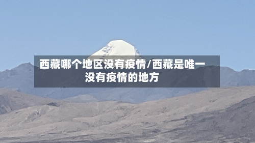 西藏哪个地区没有疫情/西藏是唯一没有疫情的地方-第2张图片