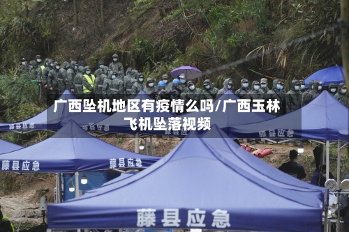 广西坠机地区有疫情么吗/广西玉林飞机坠落视频-第3张图片