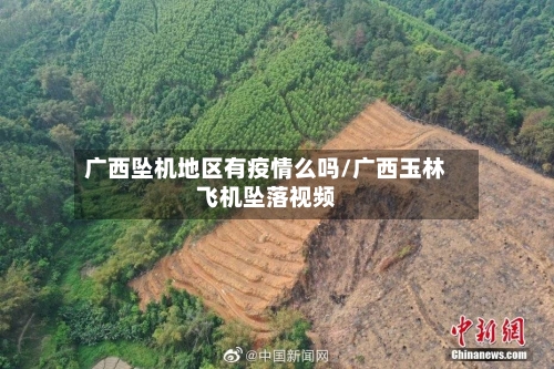 广西坠机地区有疫情么吗/广西玉林飞机坠落视频-第1张图片