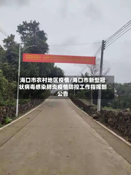 海口市农村地区疫情/海口市新型冠状病毒感染肺炎疫情防控工作指挥部公告-第2张图片