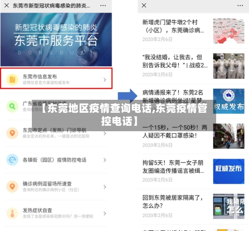 【东莞地区疫情查询电话,东莞疫情管控电话】-第1张图片